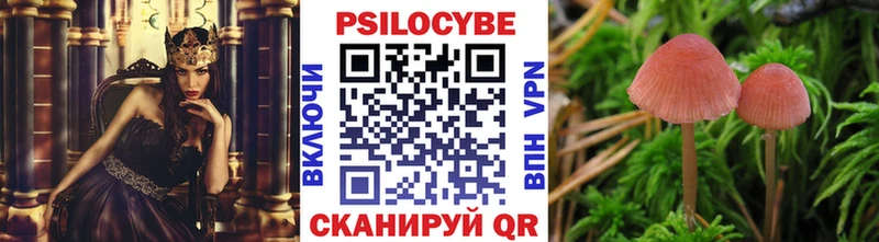 хочу наркоту  Ярославль  Псилоцибиновые грибы прущие грибы 